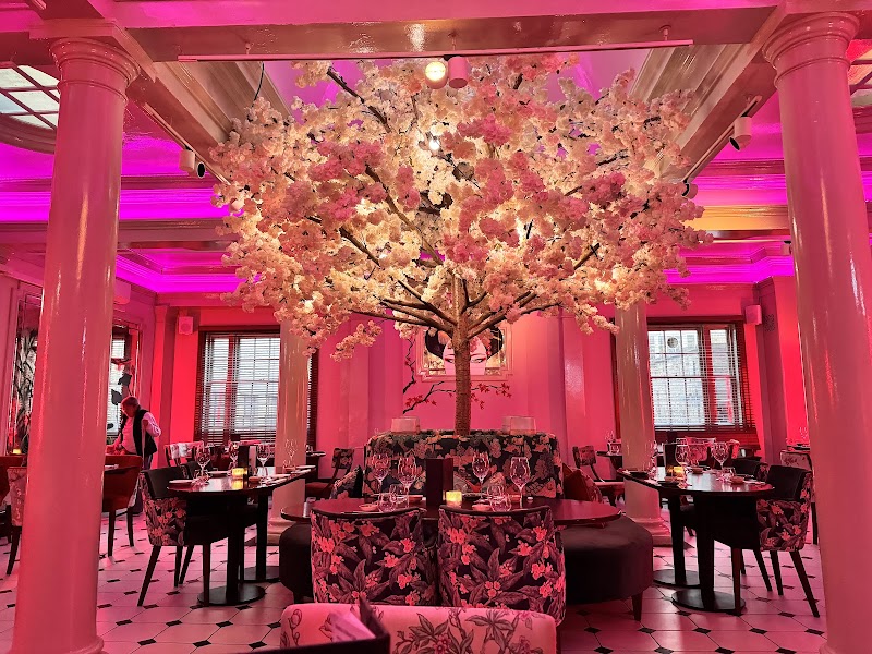 KIBOU Japanese Restaurant & Bar Cambridge