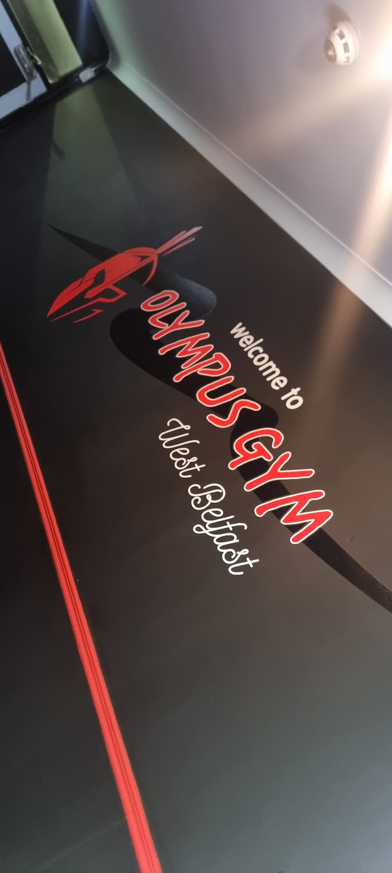 Olympus gym west belfast